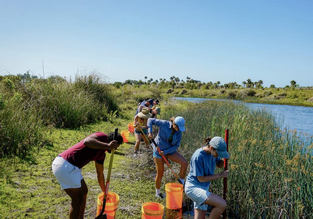 People working in field